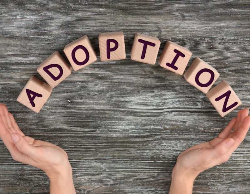 How Can I Speed Up the Adoption Process?